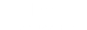 Sotheby’s International Realty Logo
